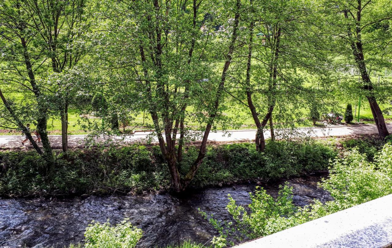Apartmani Radoicic Josanicka Banja Luaran gambar