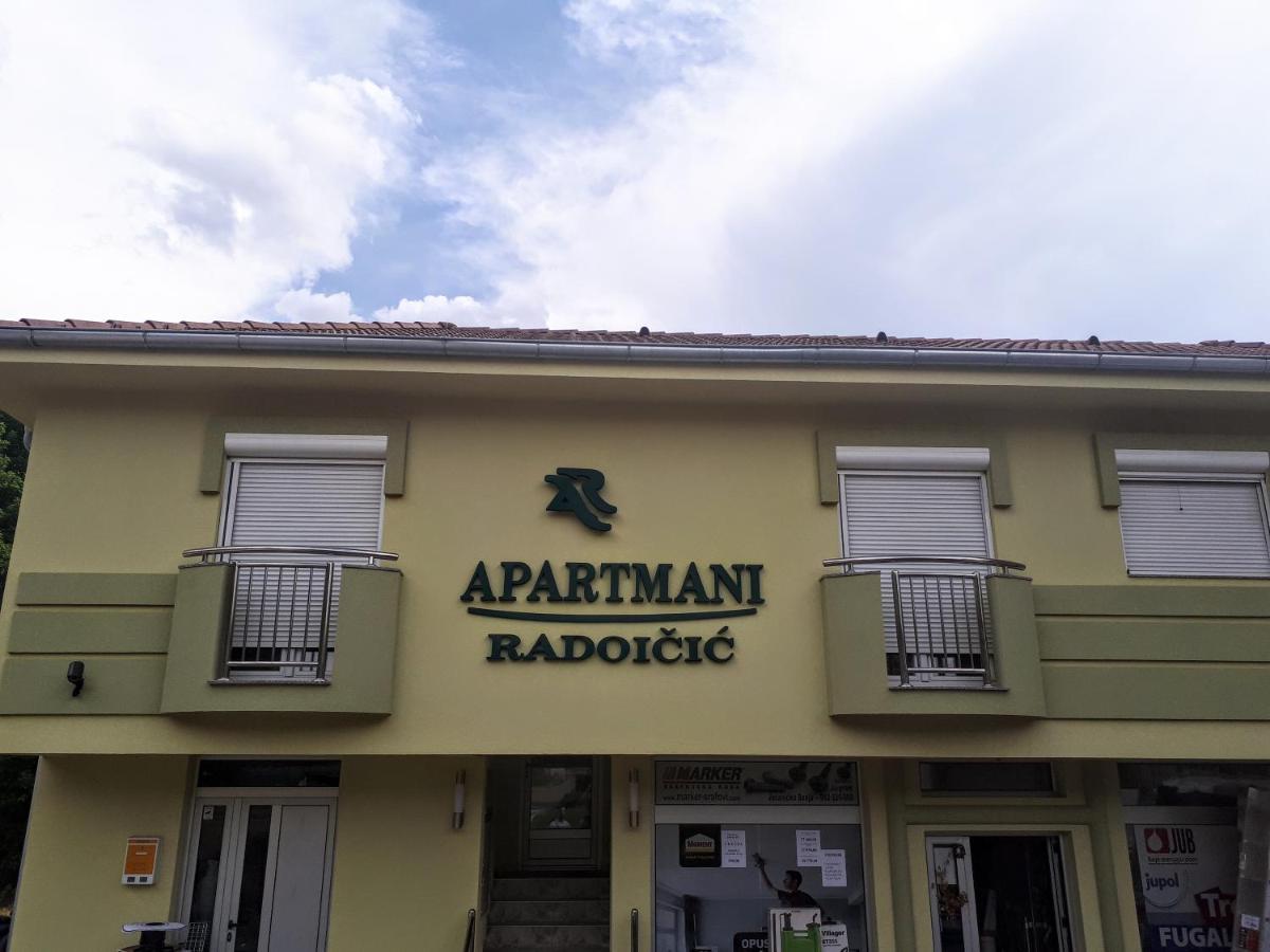 Apartmani Radoicic Josanicka Banja Luaran gambar