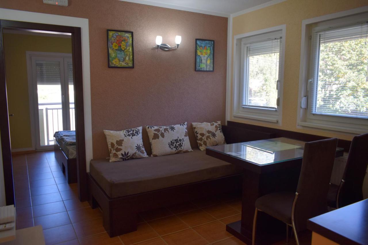 Apartmani Radoicic Josanicka Banja Luaran gambar
