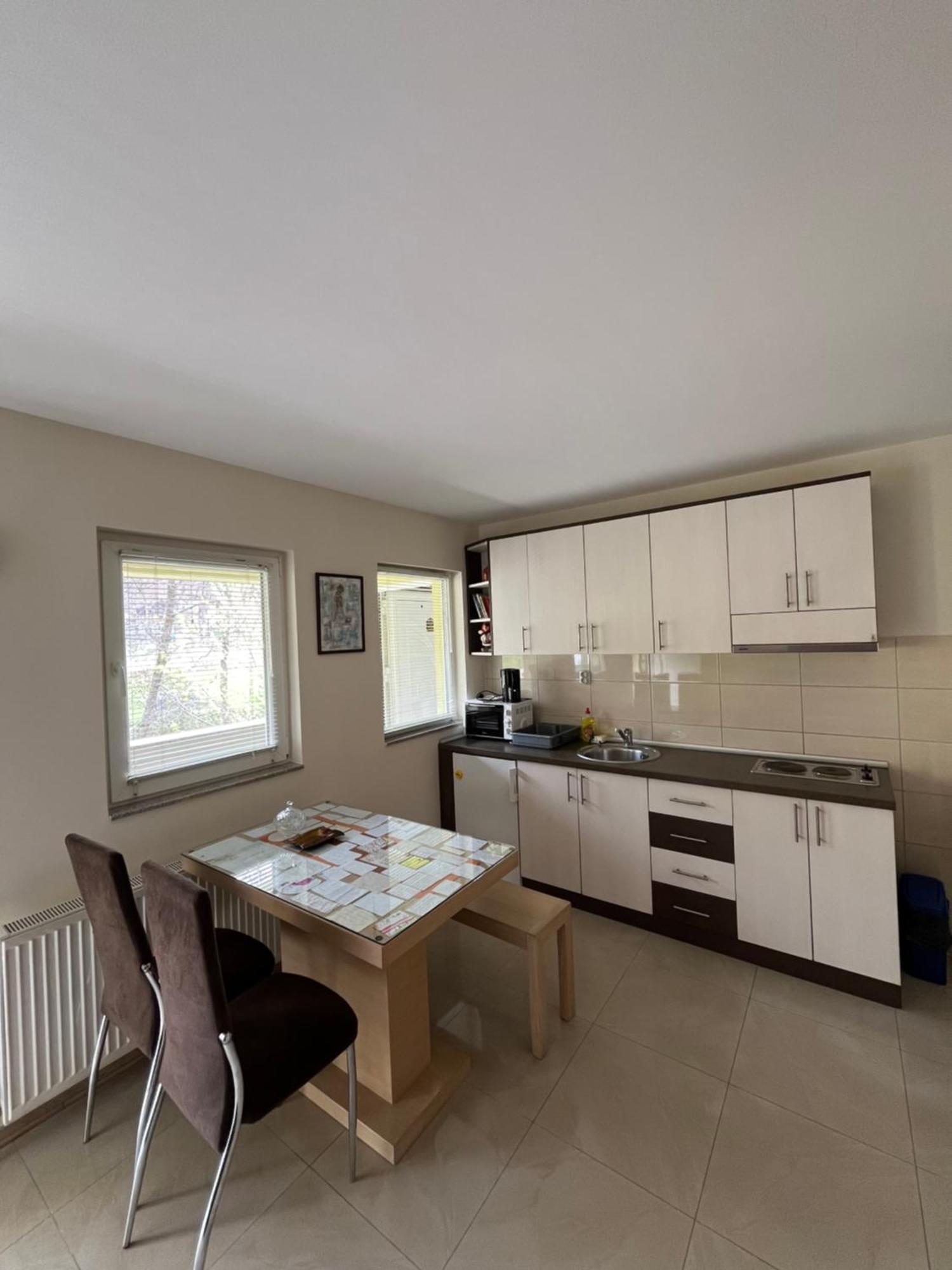 Apartmani Radoicic Josanicka Banja Luaran gambar