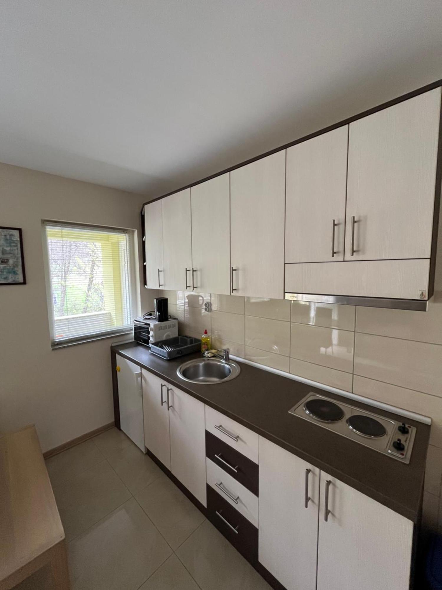 Apartmani Radoicic Josanicka Banja Luaran gambar